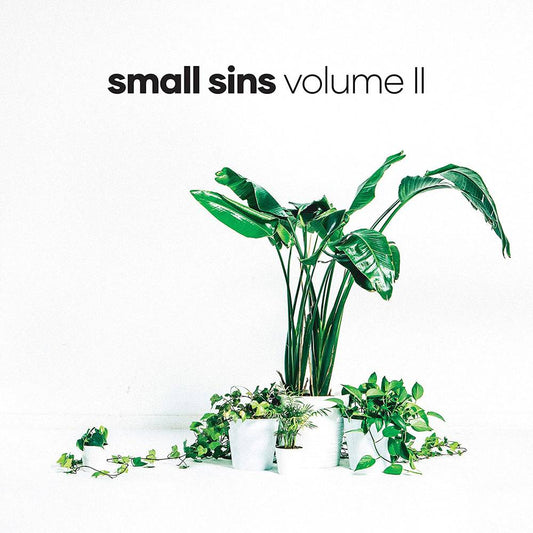 the album cover for Small Sins - Volume II