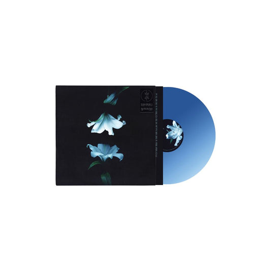 the album cover for Wasia Project - Nocturne [Indie Exclusive Blue]