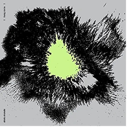 the album cover for Shida Shahabi - Living Circle