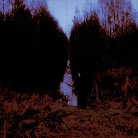 the album cover for Opeth - My Arms Your Hearse (Can)