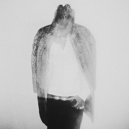 the album cover for Future - HNDRXX [2LP]