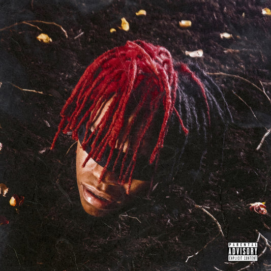 the album cover for DC The Don - Funeral