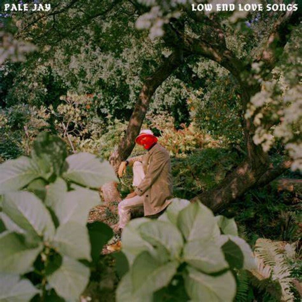 the album cover for Pale Jay - Low End Love Songs - Storm Cloud Grey [Colored Vinyl] (Gry)