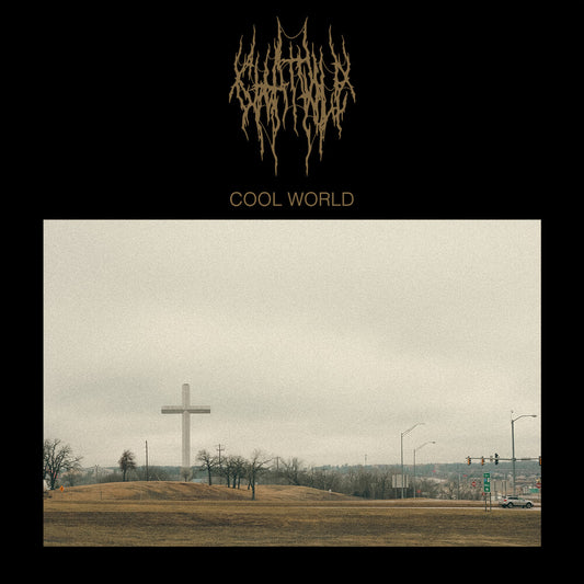 the album cover for Chat Pile - Cool World