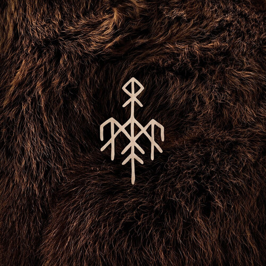 the album cover for Wardruna - Birna (Ocrd)