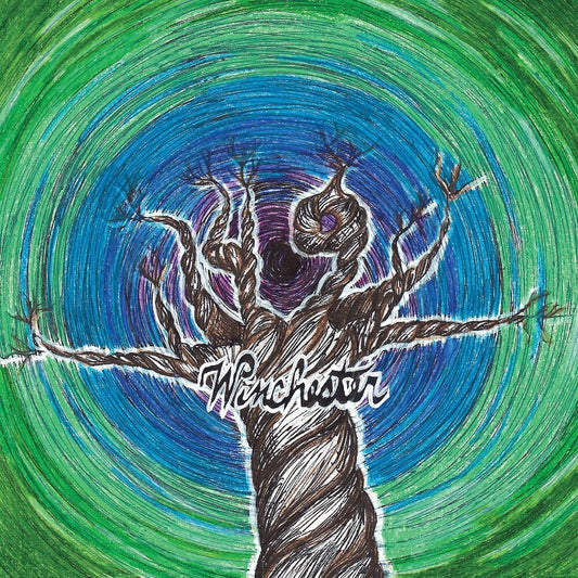 the album cover for 49 Winchester - 49 Winchester (Stic)