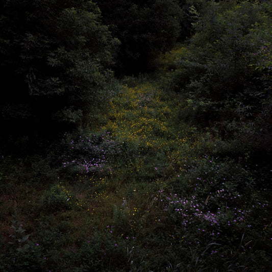 the album cover for Fireworks - Higher Lonely Power (Blk) [Colored Vinyl] (Can)