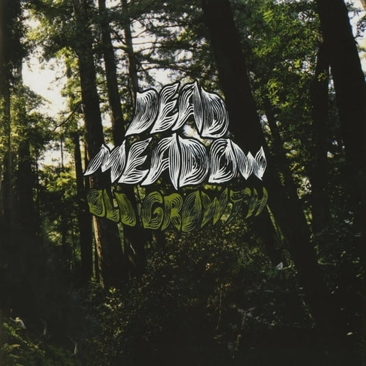 the album cover for Dead Meadow - Old Growth