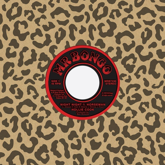 the album cover for Hollie Cook  / Horsemen - Night Night (Blk)