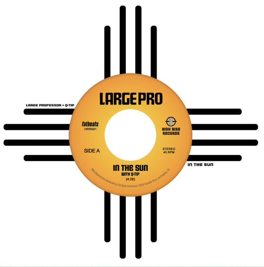 the album cover for Large Professor - In the Sun