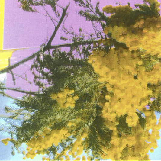 the album cover for Four Tet - Into Dust (Still Falling) (Ep) [Indie Exclusive]