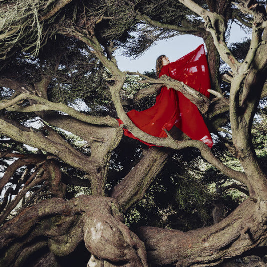 the album cover for Hannah Frances - Nested In Tangles [Colored Vinyl] (Red)