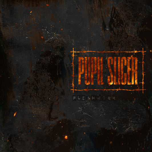 the album cover for Pupil Slicer - Fleshwork