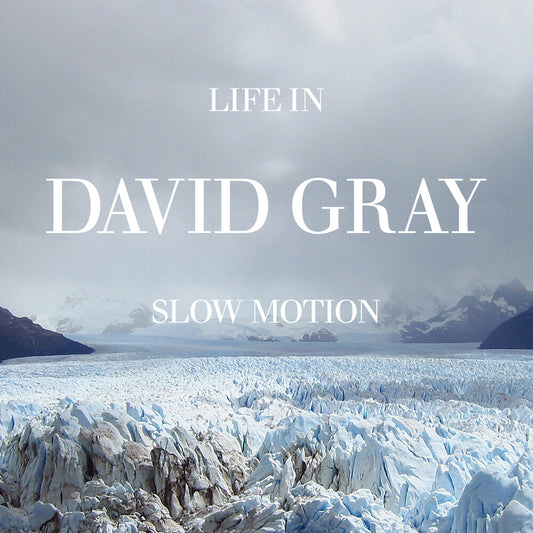 the album cover for David Gray - Life In Slow Motion (20th Anniversary Edition)
