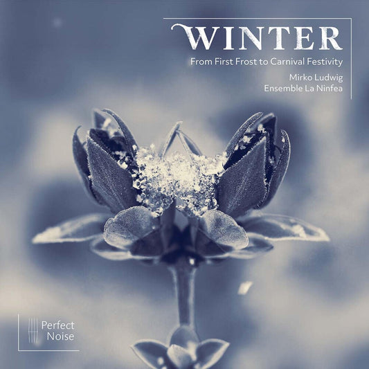the album cover for Ensemble La Ninfea - Winter - From First Frost To Carnival Festivity