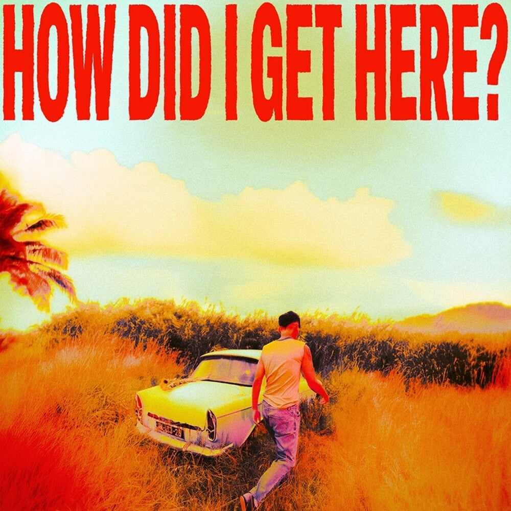 the album cover for Louis Tomlinson - How Did I Get Here?