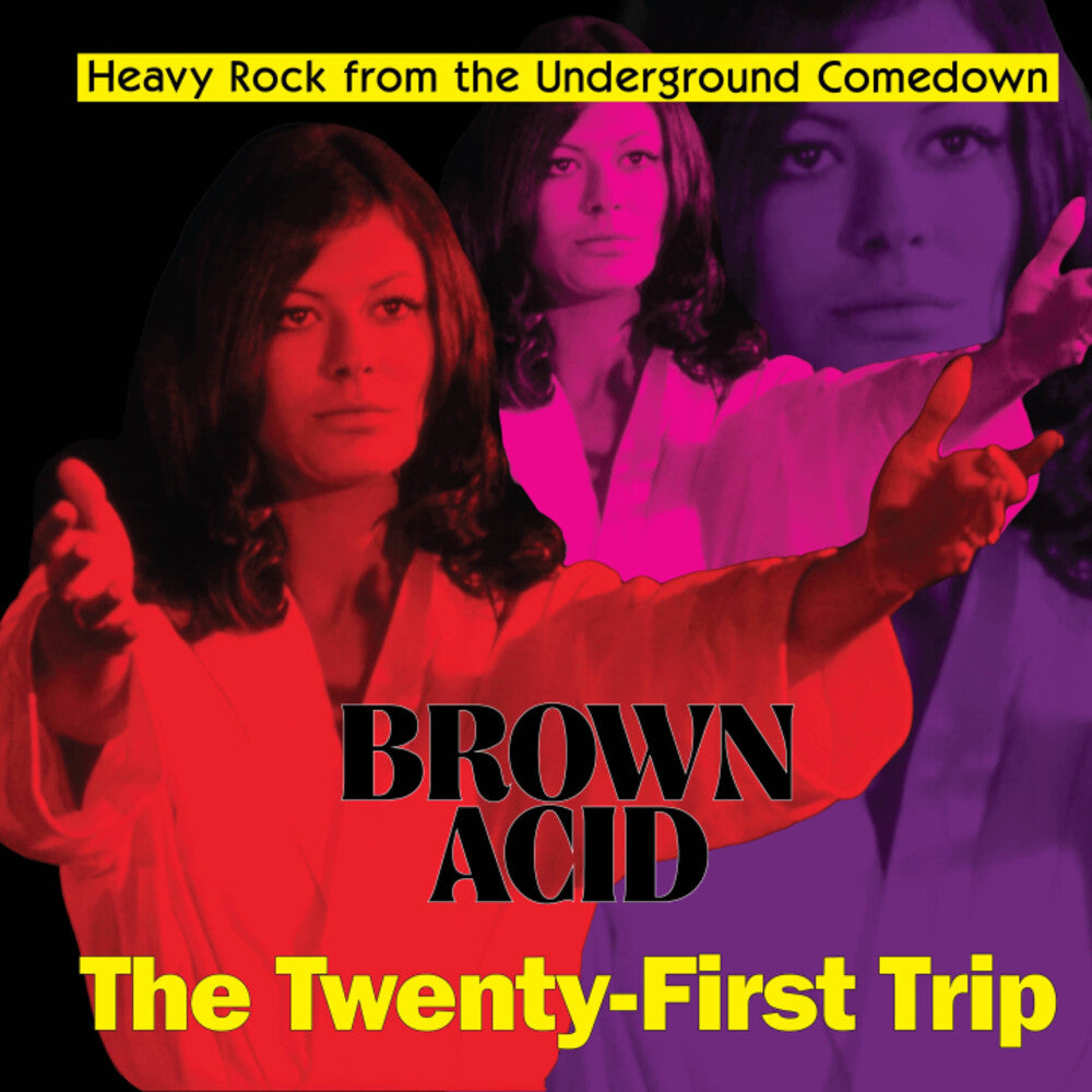 the album cover for Various Artists - Brown Acid - The Twenty-First Trip