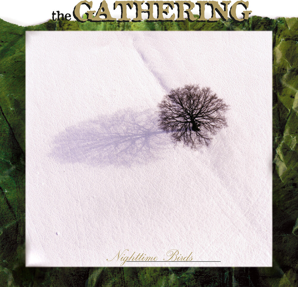 the album cover for Gathering - Nighttime Birds [Digipak]
