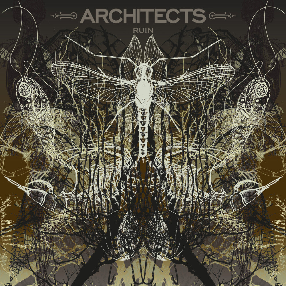 the album cover for Architects - Ruin [Limited Edition] (Pict)