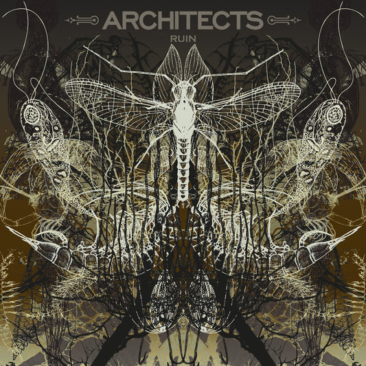 the album cover for Architects - Ruin [Limited Edition] (Pict)