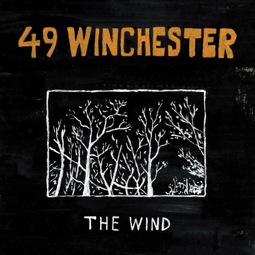 the album cover for 49 Winchester - The Wind