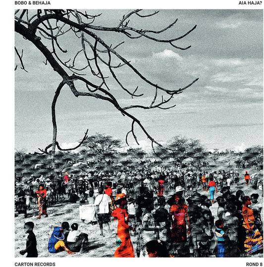 the album cover for Bobo & Behaja - Aia Haja