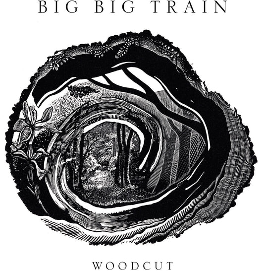 the album cover for Big Big Train - Woodcut