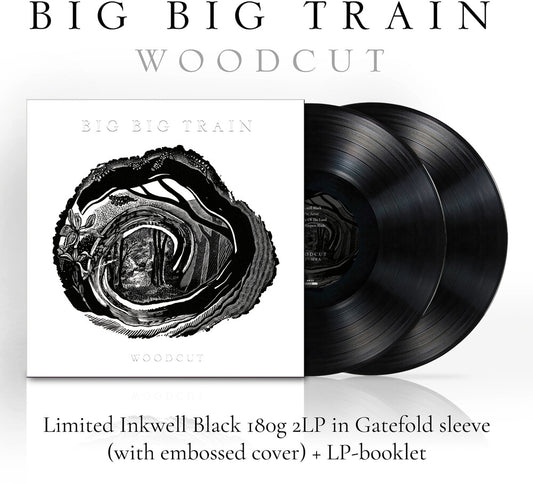 the album cover for Big Big Train - Woodcut