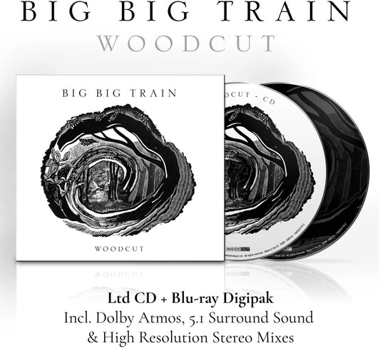 the album cover for Big Big Train - Woodcut