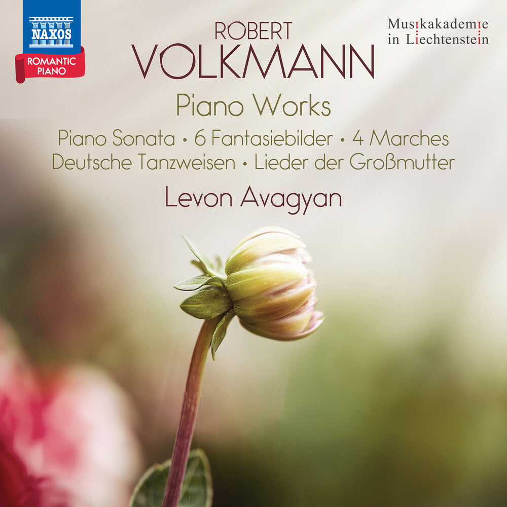 the album cover for Levon Avagyan - Volkmann: Pno Works