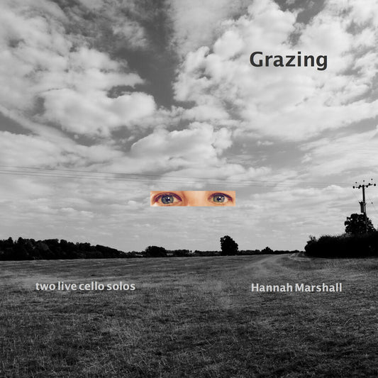 the album cover for Hannah Marshall - Grazing