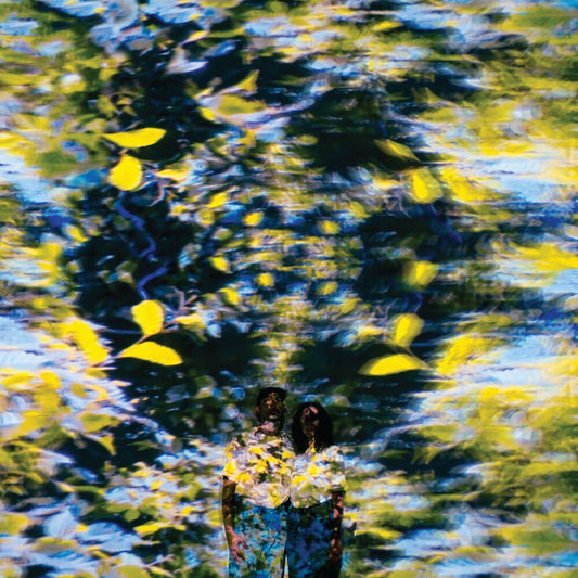 the album cover for Chaton Laveur - Labyrinthe