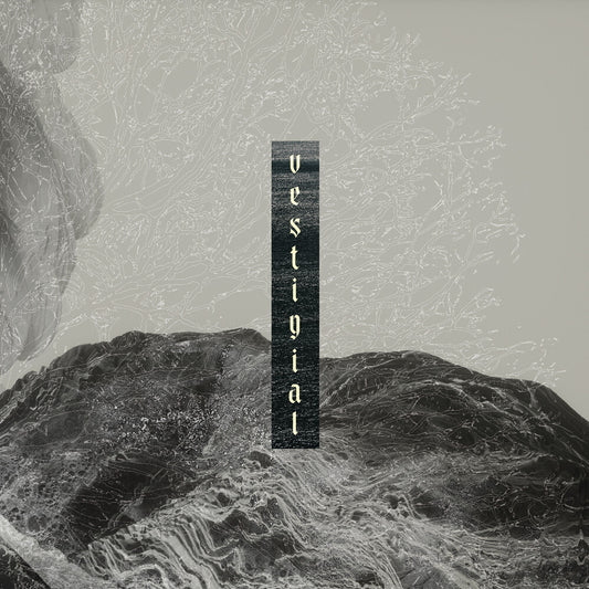 the album cover for Vestigial - Descending Vastness