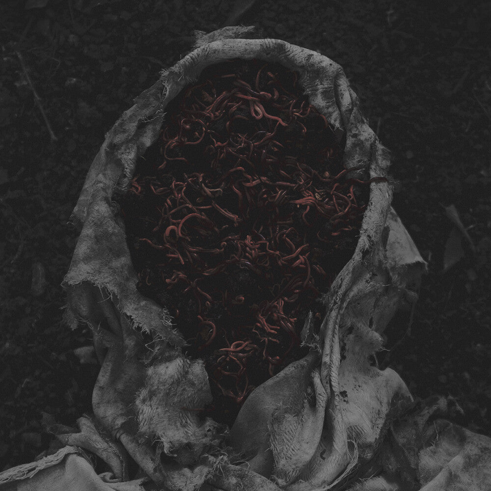 the album cover for Gorrch - Stillamentum