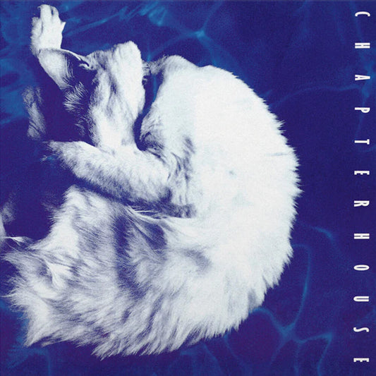 the album cover for Chapterhouse - Whirlpool [180 Gram Black/White Marble]