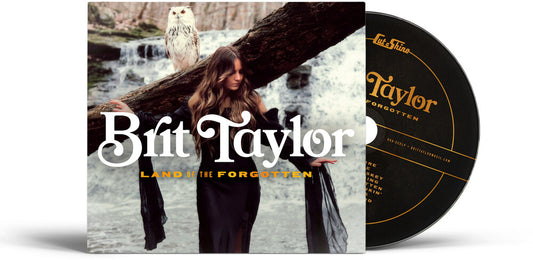 the album cover for Brit Taylor - Land Of The Forgotten