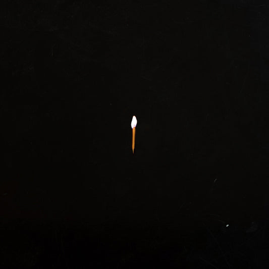 the album cover for Sault - Chapter 1