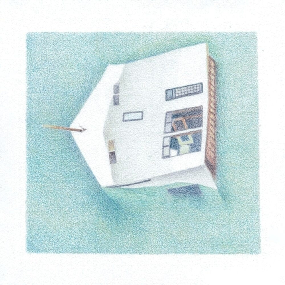 the album cover for Danny Lane  Scott - House Of Alice
