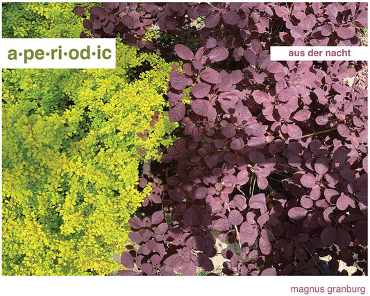 the album cover for Aperiodic - Aus Der Nacht