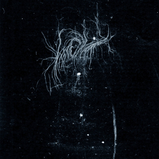the album cover for My Heart, An Inverted Flame - My Death Is More Beautiful Than Your Life