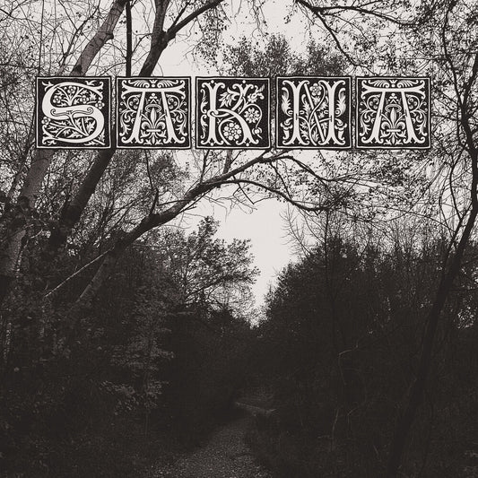 the album cover for Sakna - De Syv Dodssynder (2-12 Inch)