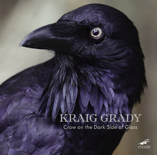 the album cover for Kraig Grady - Kraig Grady: Crow On The Dark Side Of Gloss
