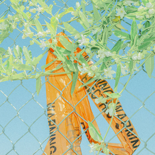 the album cover for Lockstep - I Know What I Saw
