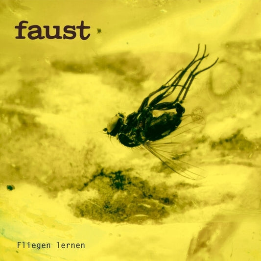 the album cover for Faust - Fliegen Lernen