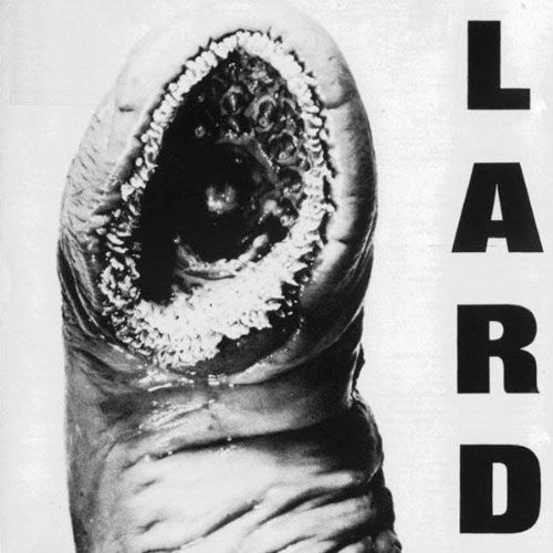 the album cover for Lard - Power of Lard