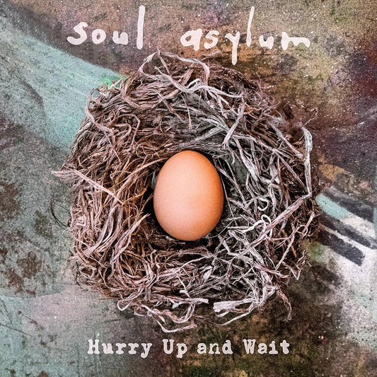 Soul Asylum - HURRY UP AND WAIT LP