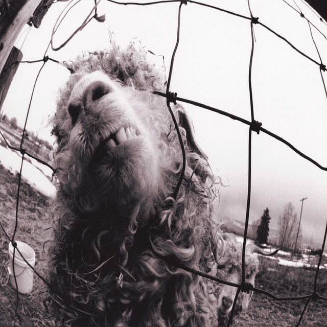 Pearl Jam - Vs. (Original) [CD]