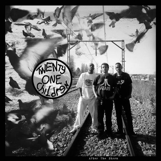 Twenty One Children - After The Storm [LP]