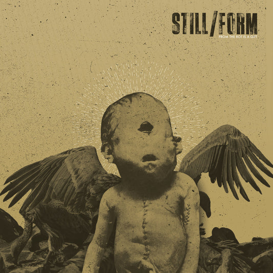 Still/Form - FROM THE ROT IS A GIFT LP